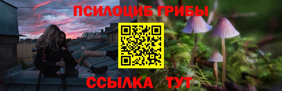 Галлюциногенные грибы Cubensis  Псилоцибиновые грибы мицелий  Лесозаводск  Вход с VPN 